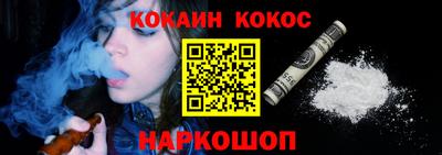 крисы Новокубанск