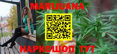крисы Новокубанск