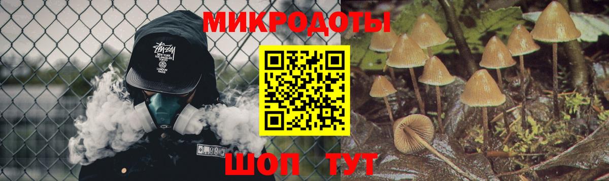 Галлюциногенные грибы GOLDEN TEACHER  Галлюциногенные грибы мухоморы  Тихорецк  Вход с VPN 